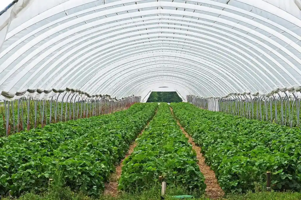 hypochlorous acid generators for farmers and growing operations